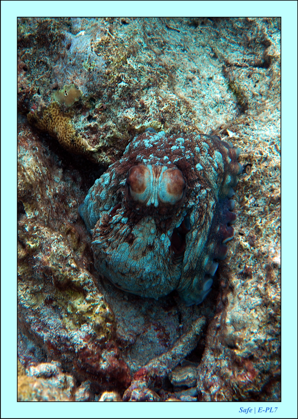 2023 - 07 - Sandies Bathala - 152